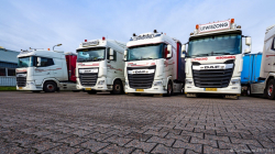 20251129-Lewiszong-00064